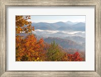 Morning Light Fog Viewed From Foothills Parkway Fine Art Print