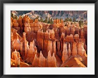 Morning Light On The Hoodoos Of Bryce Canyon National Park Fine Art Print