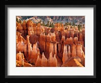 Morning Light On The Hoodoos Of Bryce Canyon National Park Fine Art Print