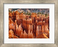 Morning Light On The Hoodoos Of Bryce Canyon National Park Fine Art Print