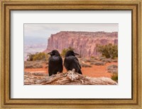 Pair Of Ravens On A Log Fine Art Print