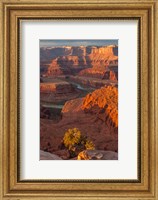 Sunrise On The Colorado River, Utah Fine Art Print