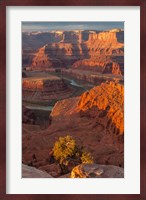 Sunrise On The Colorado River, Utah Fine Art Print