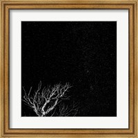 Dead Tree And Night Sky At The Capitol Reef National Park, Utah Fine Art Print