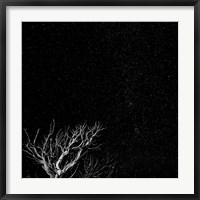 Dead Tree And Night Sky At The Capitol Reef National Park, Utah Fine Art Print