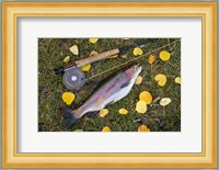 Rainbow Trout And Fly Rod Fine Art Print