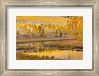 Fishlake National Forest Landscape, Utah Fine Art Print