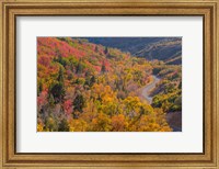 Landscape With Nebo Loop Road, Uinta National Forest, Utah Fine Art Print
