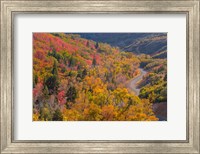 Landscape With Nebo Loop Road, Uinta National Forest, Utah Fine Art Print