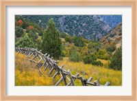 Fence And Meadow Landscape, Utah Fine Art Print