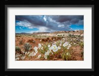 Evening Primrose In The Grand Staircase Escalante National Monument Fine Art Print