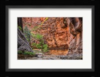 Zion Narrows, Utah Fine Art Print