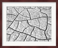 Wahweap Mud Cracks, Arizona Fine Art Print
