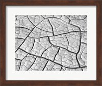 Wahweap Mud Cracks, Arizona Fine Art Print