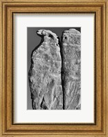 Penguins Rock Formation, Utah (BW) Fine Art Print