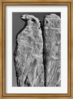 Penguins Rock Formation, Utah (BW) Fine Art Print