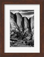 Gnarled Tree Against Stone Fins, Arches National Park, Utah (BW) Fine Art Print