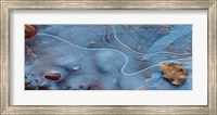 Frozen Leaf Surrounded By Ice Fine Art Print