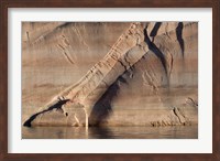 Sandstone Canyon Wall Detail, Utah Fine Art Print