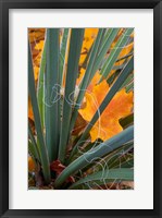 Detail Of Yucca And Yellow Maple Leaves Fine Art Print