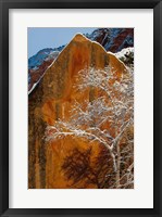 Snow Covered Tree In Front Of Red Rock Boulder, Utah Fine Art Print