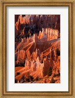 Sunrise Point Hoodoos In Bryce Canyon National Park, Utah Fine Art Print
