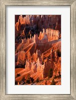 Sunrise Point Hoodoos In Bryce Canyon National Park, Utah Fine Art Print