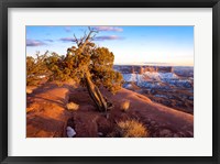 Overlook Vista At Canyonlands National Park, Utah Fine Art Print