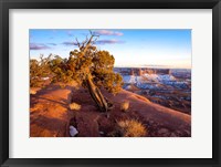 Overlook Vista At Canyonlands National Park, Utah Fine Art Print