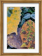 Frost Covered Aspen Leaves And Clover Fine Art Print