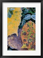 Frost Covered Aspen Leaves And Clover Fine Art Print
