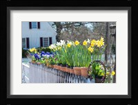 Garden At Colonial Williamsburg, Virginia Fine Art Print