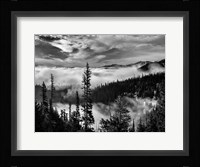 Olympic National Park, Washington (BW) Framed Print