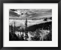 Olympic National Park, Washington (BW) Framed Print