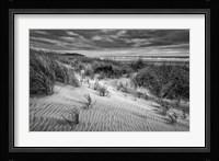 Long Beach, Washington (BW) Fine Art Print