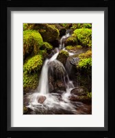 Creek In Sol Duc Valley, Washington Fine Art Print