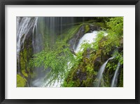 Spring Scene At Panther Creek Waterfall, Washington State Fine Art Print