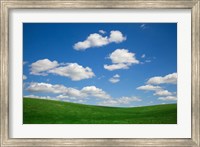 Green Wheat Field Landscape, Washington State Fine Art Print