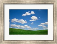 Green Wheat Field Landscape, Washington State Fine Art Print