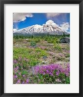 Mount Saint Helens Landscape, Washington State Fine Art Print