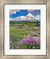 Mount Saint Helens Landscape, Washington State Fine Art Print