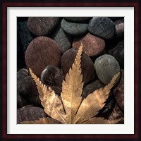 Maple Leaf On Rocks Fine Art Print