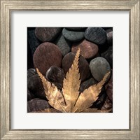 Maple Leaf On Rocks Fine Art Print
