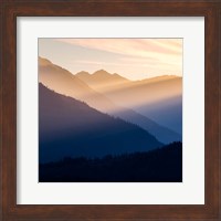 Sunset In The Olympic National Forest Fine Art Print