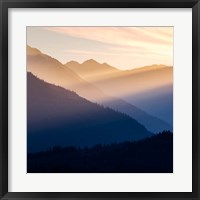 Sunset In The Olympic National Forest Fine Art Print
