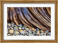 Beach Rocks And Driftwood Fine Art Print