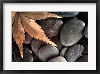 Zen Maple Leaf On Rocks Fine Art Print