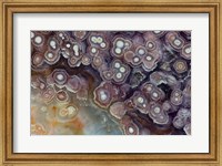 Luna Agate Fine Art Print