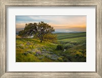 An Oak Tree At Columbia Hills State Park Fine Art Print