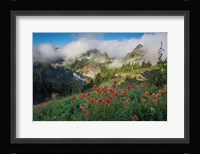 Indian Paintbrush Landscape Near The Tatoosh Range Fine Art Print